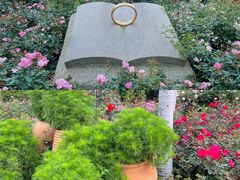 -人民公园(罗湖区)