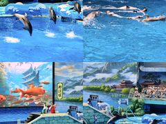 -海合安成都极地海洋公园