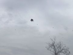 -汉长安城未央宫国家考古遗址公园