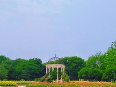 -东南大学(九龙湖校区)