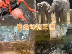 -长鹿旅游休博园