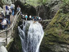 -牛背梁国家森林公园