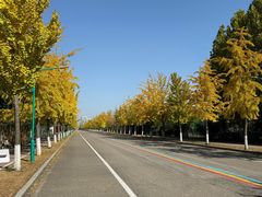 -兰陵国家农业公园