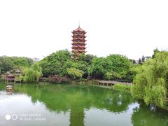 -铜锣湾·有麝自然香(渝北财富中心店)