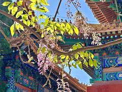 -北京国子监胡同