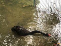 -福建鲤鱼洲酒店