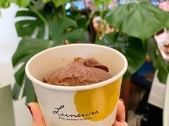 黑巧克力焦糖杏仁-LUNEURS月乐诗·法式冰淇淋(环贸店)