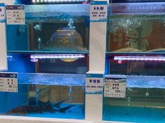 -丝路东方虾仁水饺(北京路二宫汇嘉店)