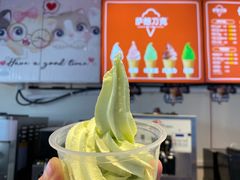 -萨朗刀克冰淇淋雪花凉(植物园店)