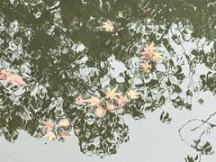 -安亭老街