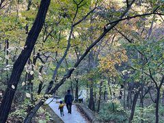 -大岭沟猕猴桃谷风景区
