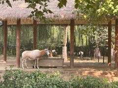 -济南野生动物世界