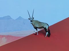 -罗红摄影艺术馆