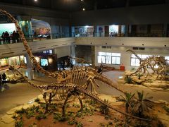 -自贡恐龙博物馆