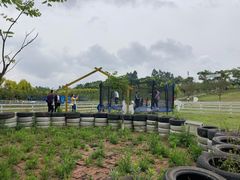 -紫颐香薰山谷景区