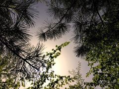 -青峰峡国家森林公园