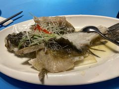 清蒸海鲈鱼-阳光海鲜城(太仓万达店)