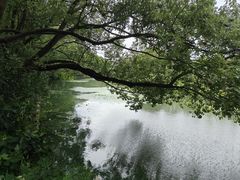 -同里国家湿地公园