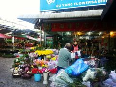 iphone_upload_pic-曲阳花鸟市场(曲阳路店)