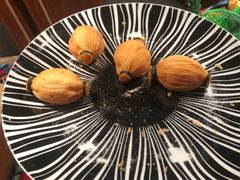 木瓜酥-齐河孔雀王温泉酒店·金孔雀自助百汇