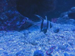 -成都浩海立方海洋公园