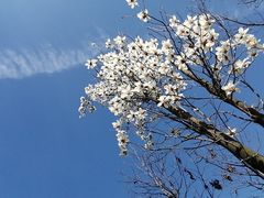 -成飞公园