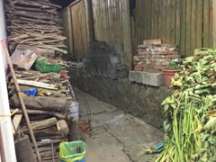 -遇龙河大樟树农家乐