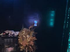 -黑桃K生日订制KTV
