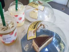 -有猫主题·治愈系猫咖(曾厝垵店)