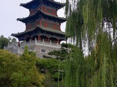 -迎泽公园