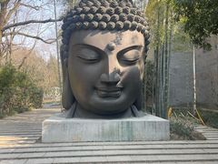-杭州植物园