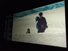 -CMC大光明影城(莲花店)