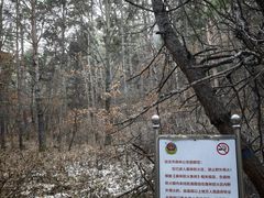 -帽儿山国家森林公园