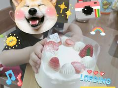 -福气鲜活面包·生日蛋糕