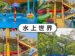 -美的鹭湖森林度假区