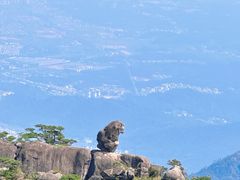 -黄山风景区