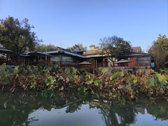 -西溪国家湿地公园