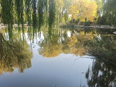 -玲珑塔公园