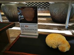 -西安浐灞艾美酒店·汉江餐厅·火锅