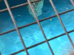 -大连圣亚海洋世界