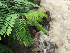 -灵溪风景区