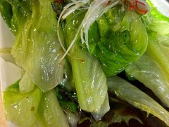 白灼罗马生菜-品质伊骊新疆菜(紫金店)