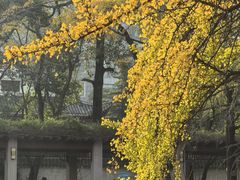 -四川大学(华西校区)