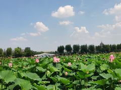 -长春市南湖公园