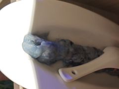 -东门口·新式老北京火锅(河西龙湖天街店)