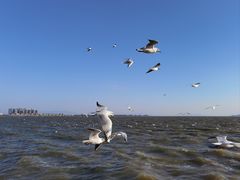 -滇池海埂公园