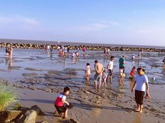 -南汇嘴观海公园