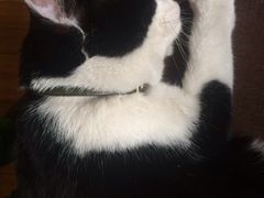 -猫的天空之城概念书店(杭州南宋御街店)