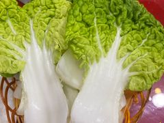 -生态牦牛王