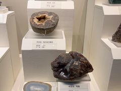 -天津自然博物馆
